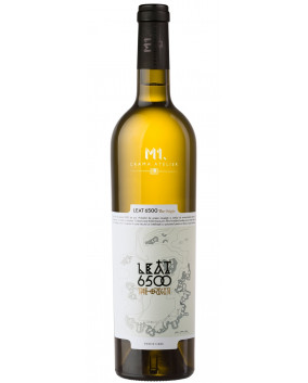 Leat 6500 The Origin Pinot Gris 2017 | M1.Crama Atelier | Murfatlar